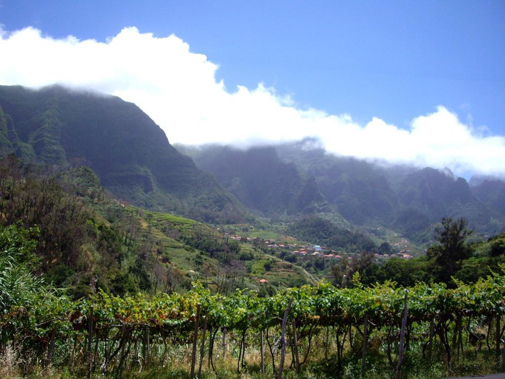 Holidays Madeira Sao Vicente  Ruang foto